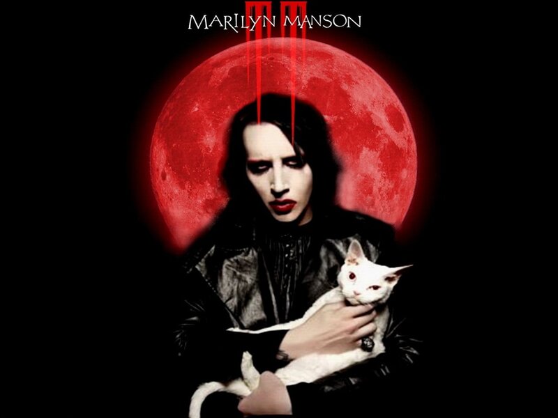 Man Holding White Cat — Black
