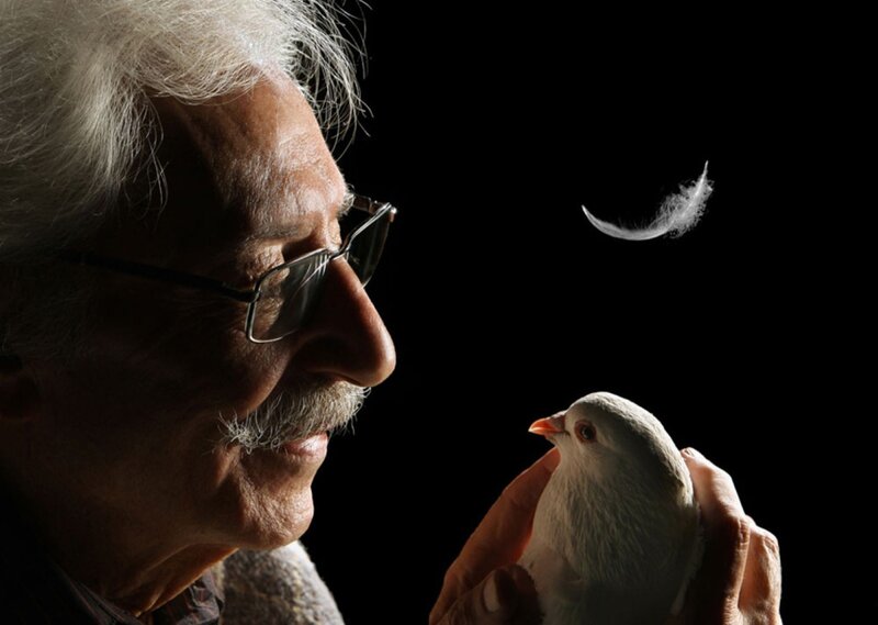 man holding white dove