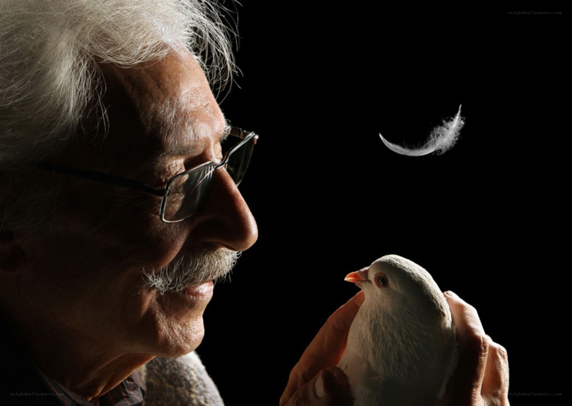 man holding white dove