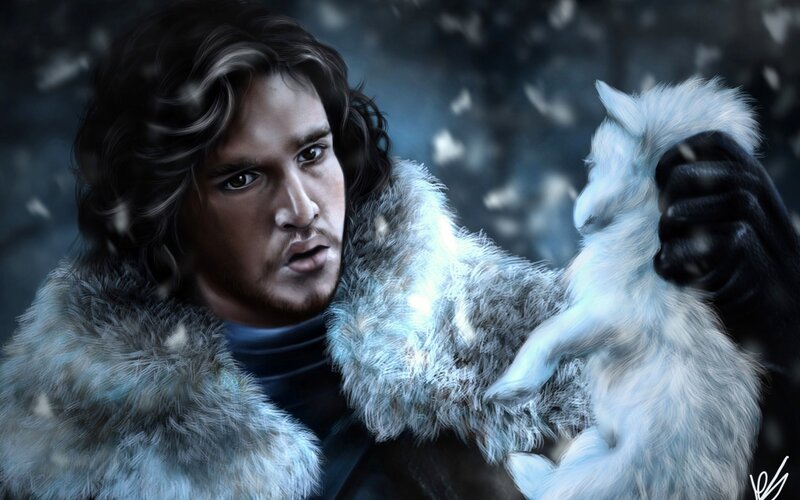 Man Holding White Wolf