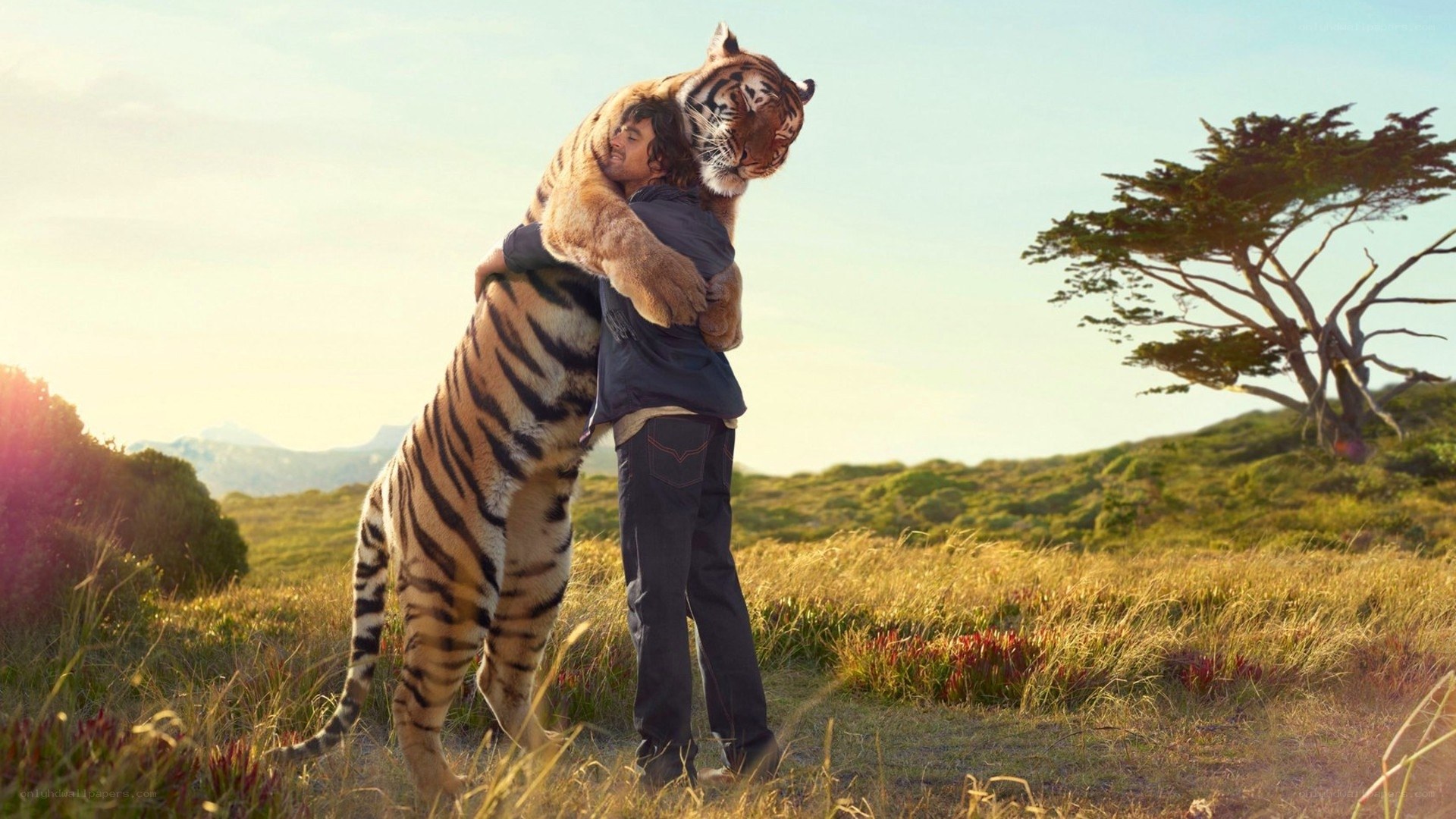 man hugging a tiger
