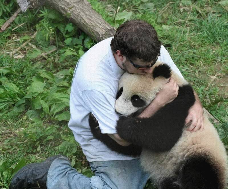 Man Hugging Panda