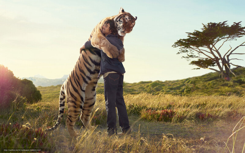 Man Hugging Tiger — Green, Serene, Afternoon, Photograph