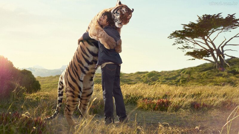 Man Hugging Tiger — Green, Serene, Afternoon
