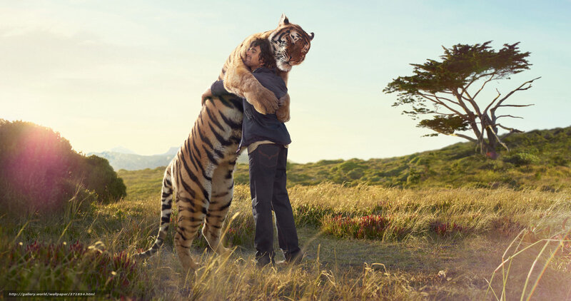 Man Hugging Tiger — Green, Serene, Sunset