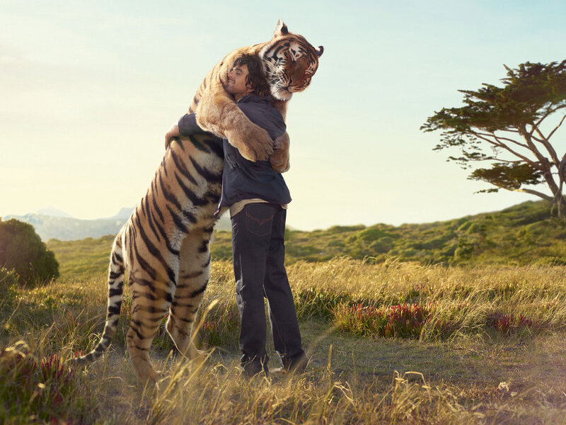 Man Hugging Tiger — Green