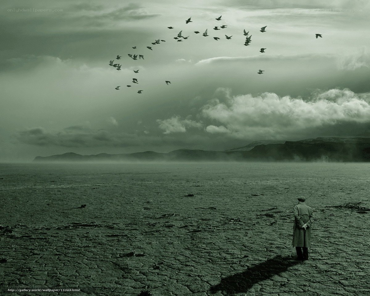 Man in a desolate landscape