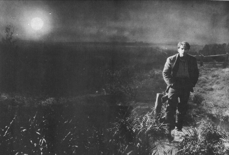 Man in a field at night