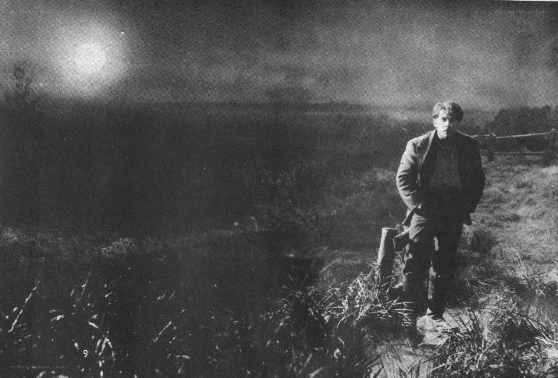 Man in a field at night