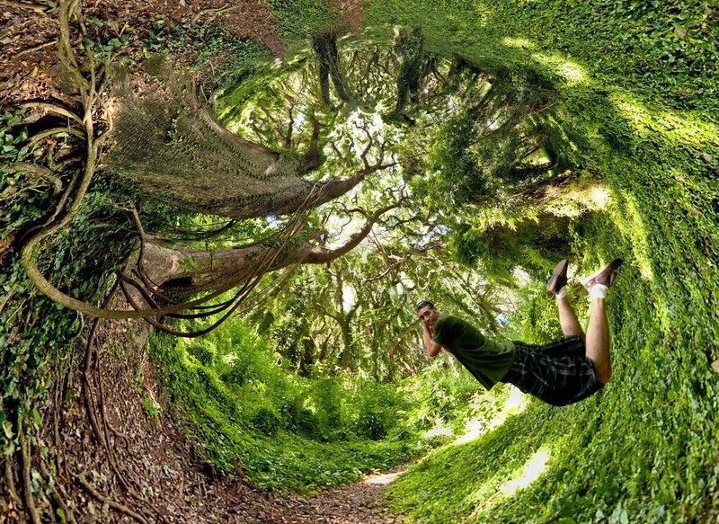 Man in a forest tunnel