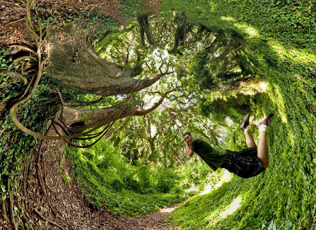Man in a forest tunnel