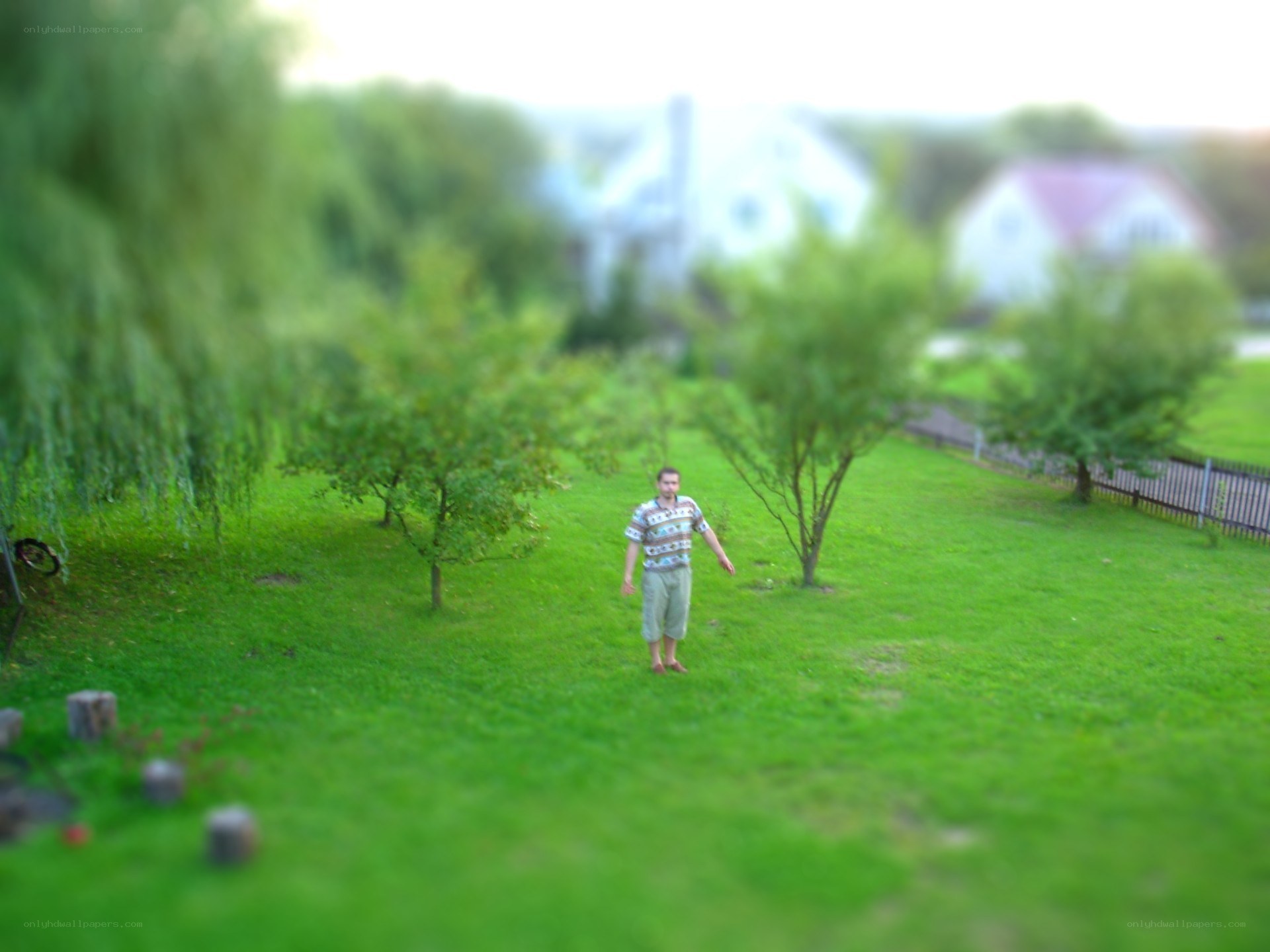 Man in a grassy yard