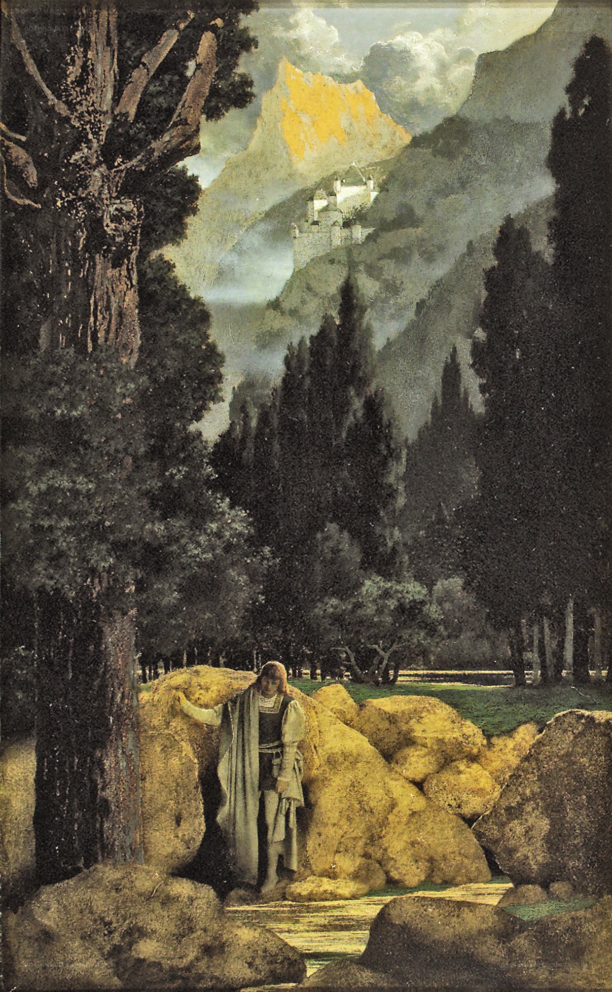 Man in a mountain landscape