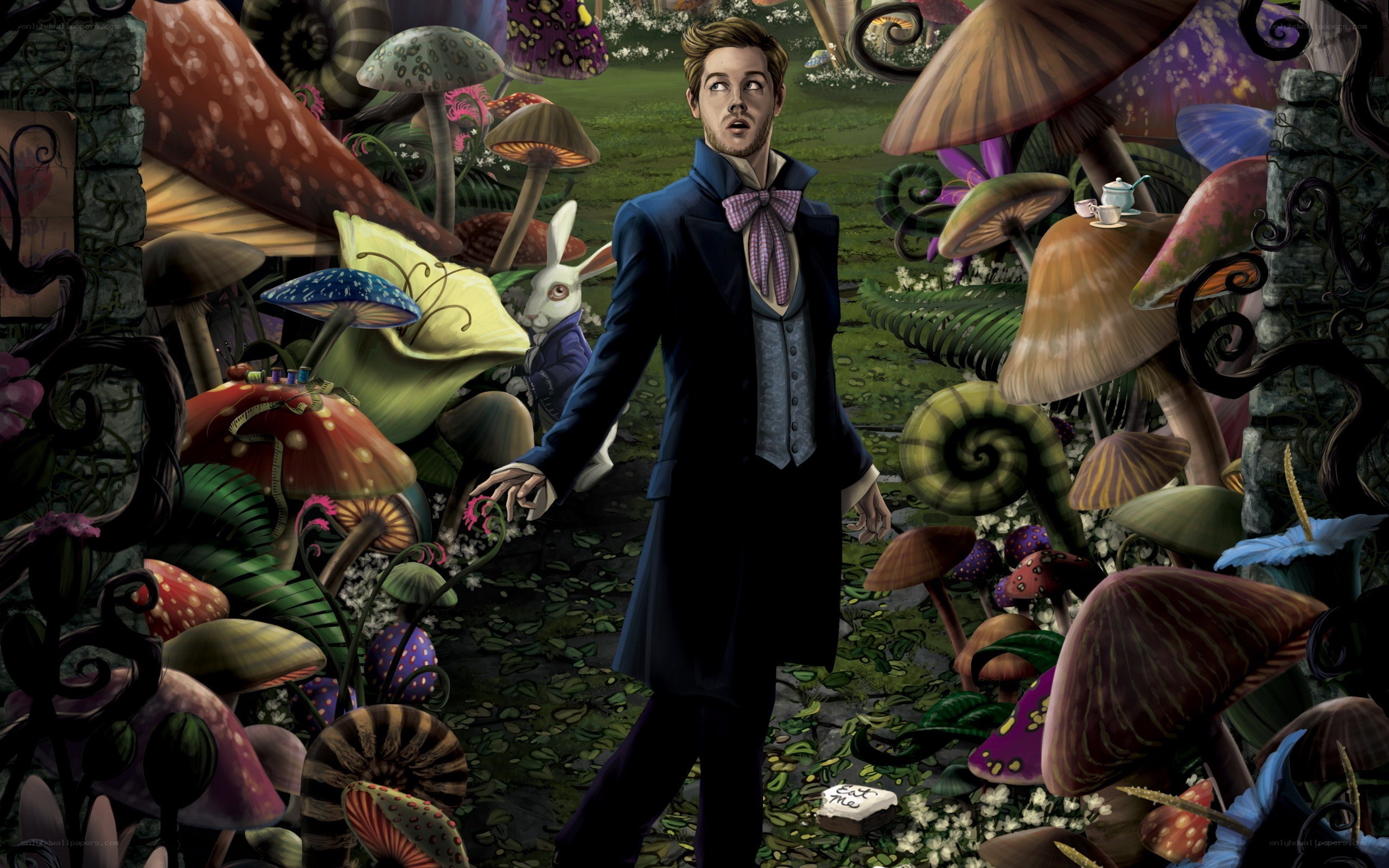 man in a mushroom forest