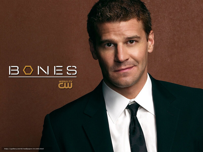 Man in a Suit — Brown, Serious, Photograph