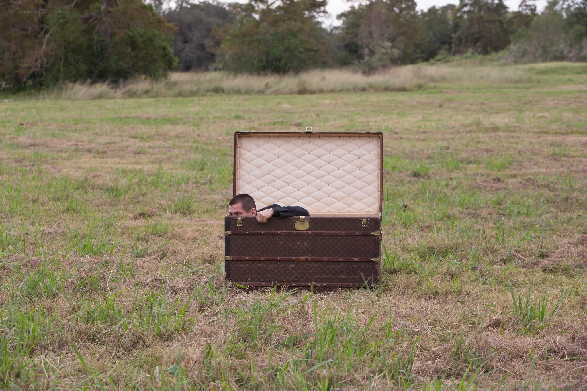Man in a suitcase in field