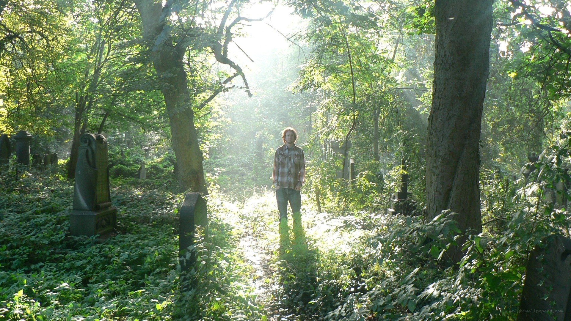 Man in a sunlit cemetery