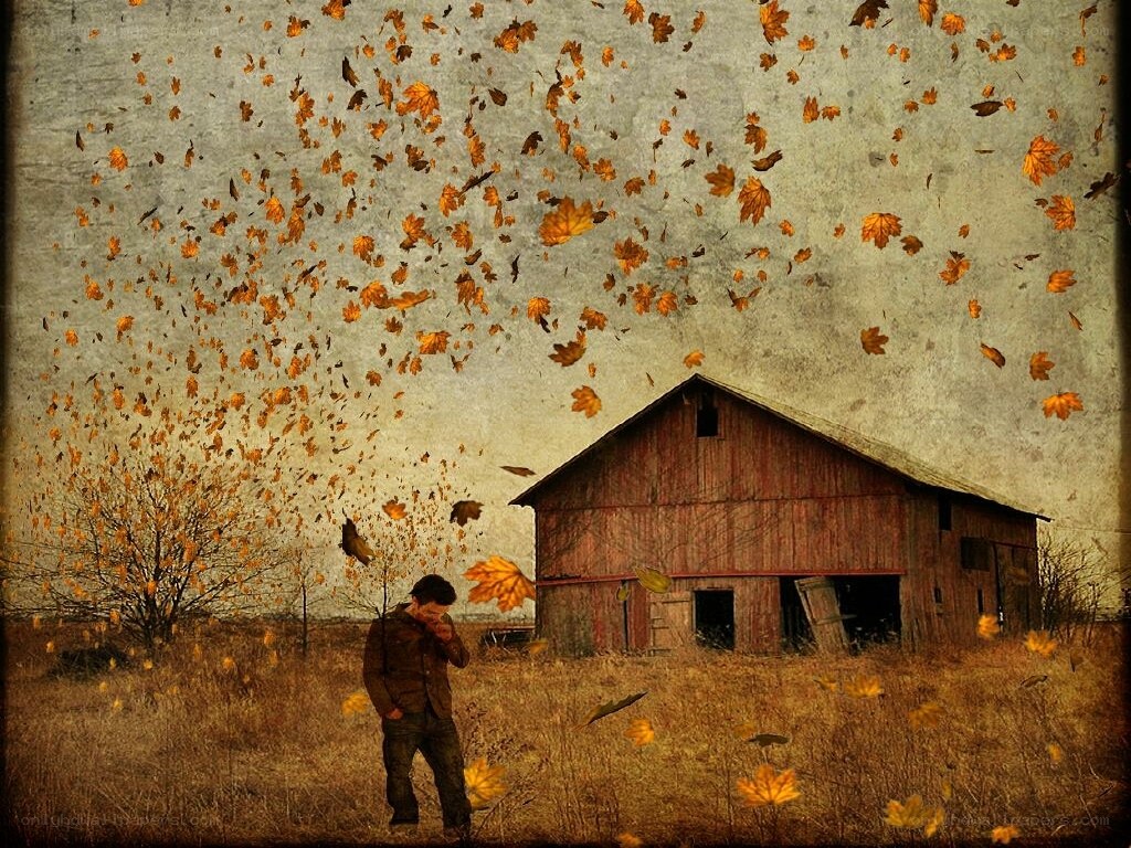 Man in autumn field with barn
