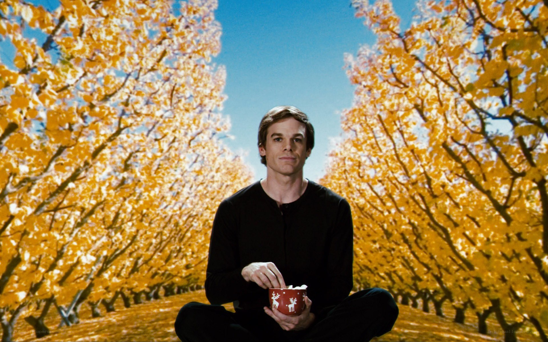 man in autumn orchard