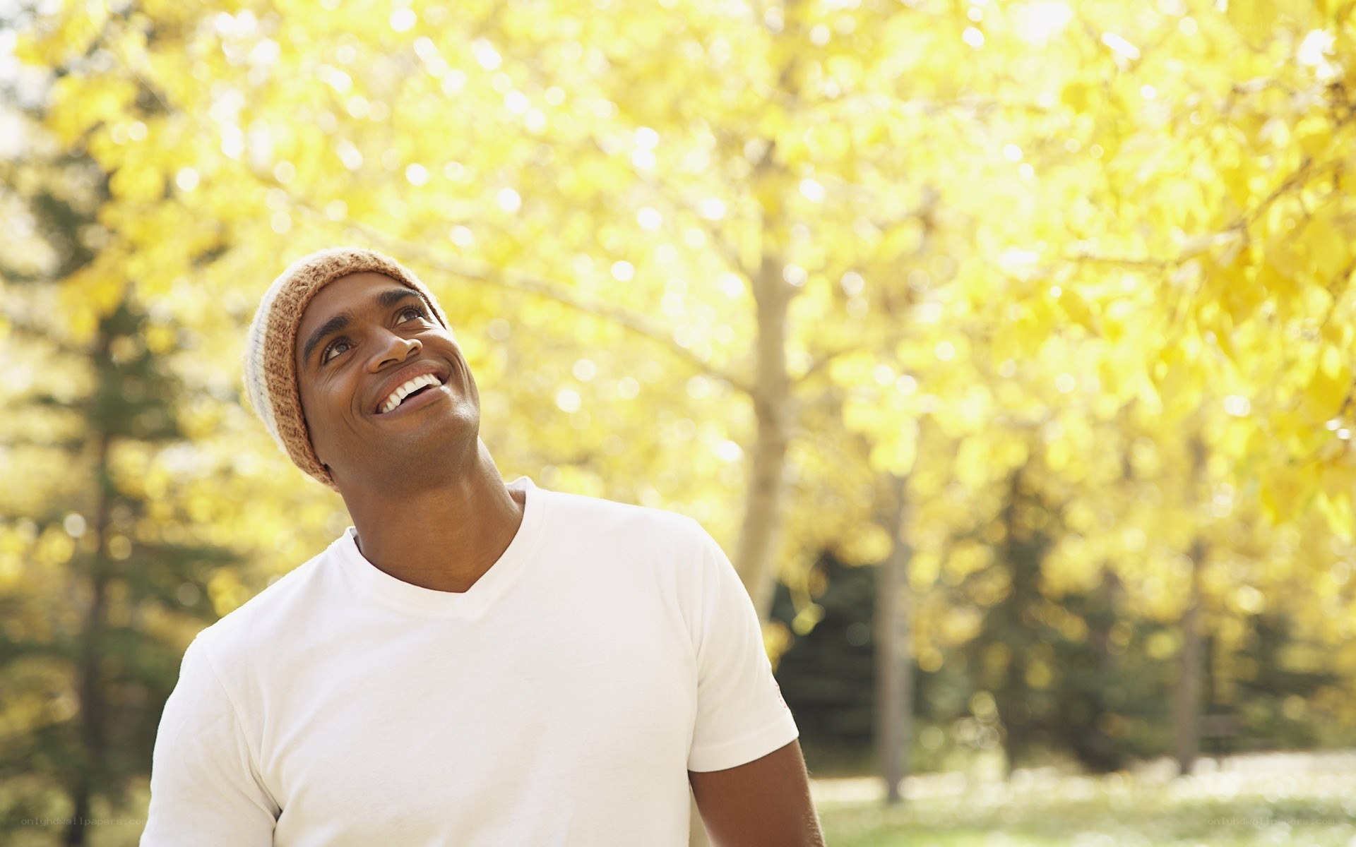 man in autumn park
