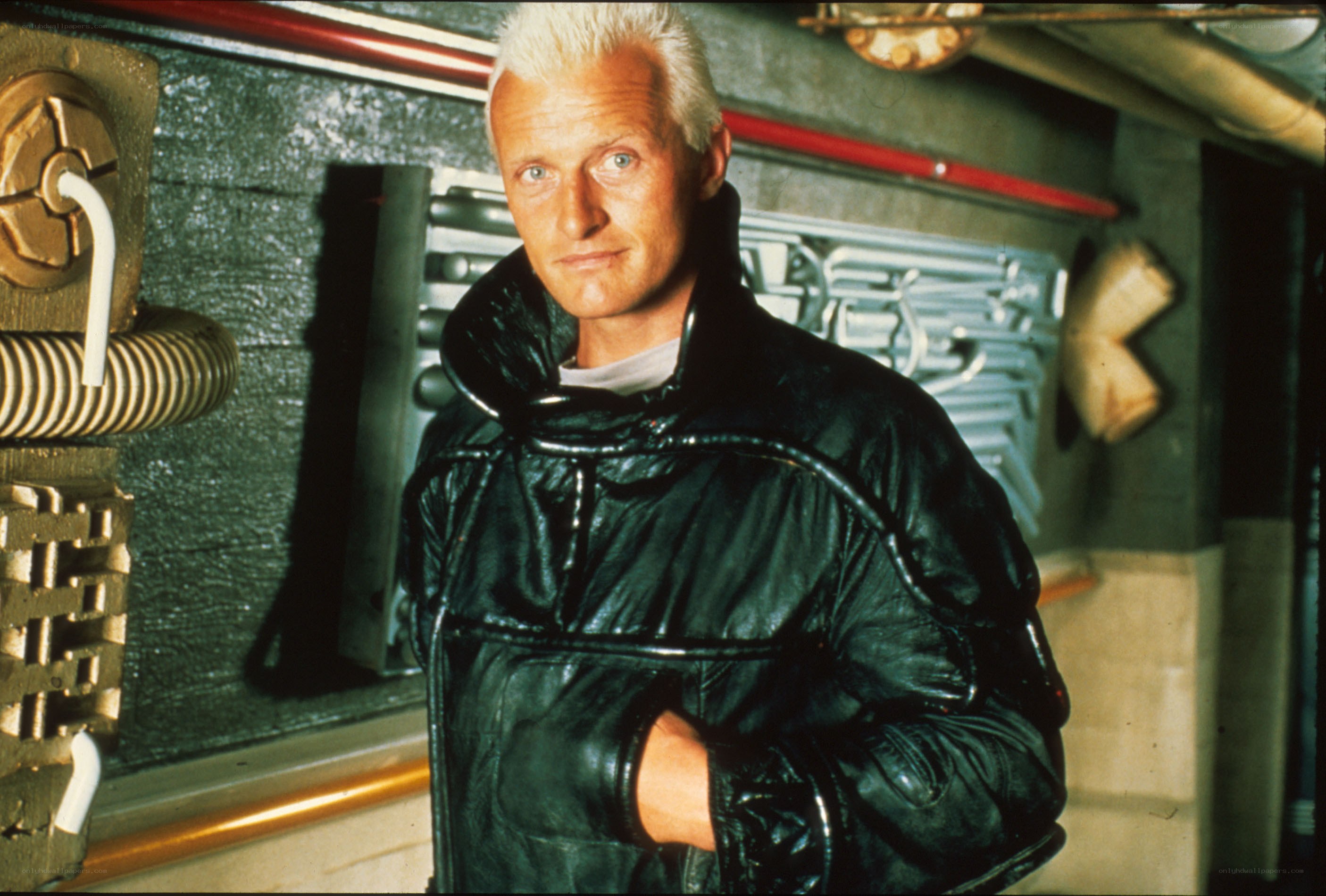 man in black jacket