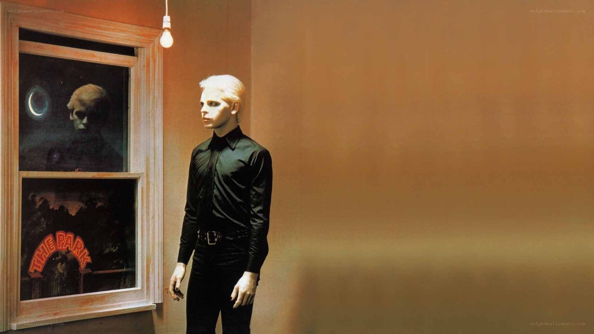 man in black shirt by window