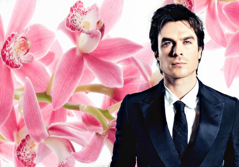 Man in Black Suit — Pink