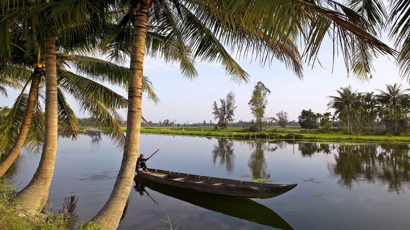 Man in boat near palm trees
