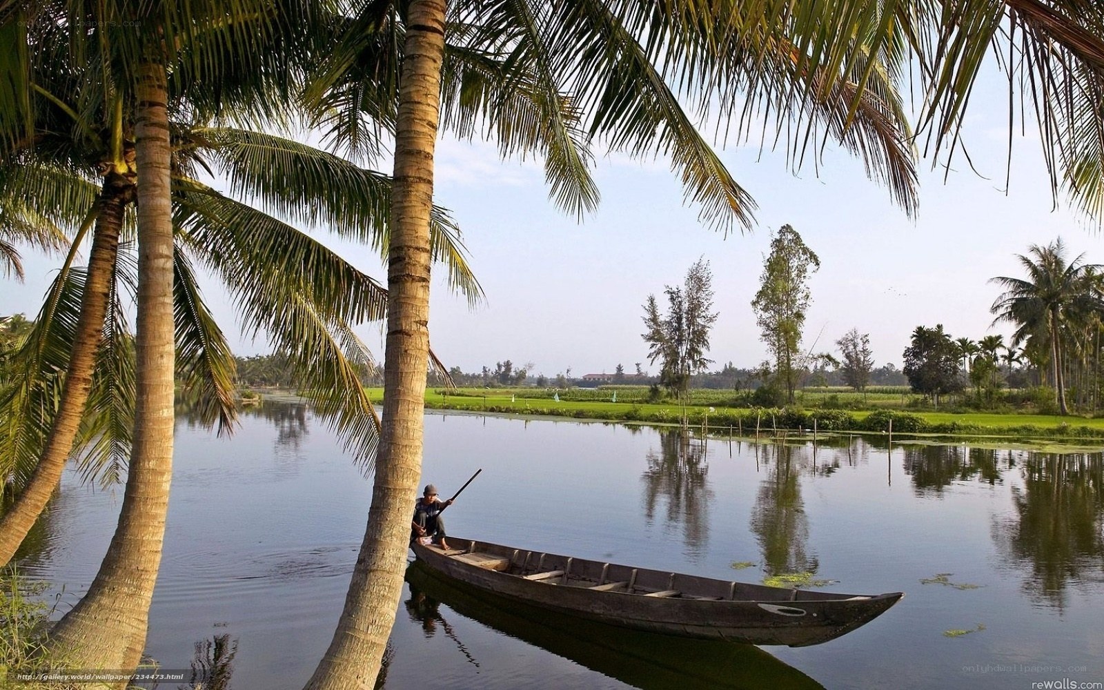 Man in boat on tropical river