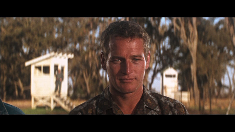 Man in Camouflage Shirt — Brown