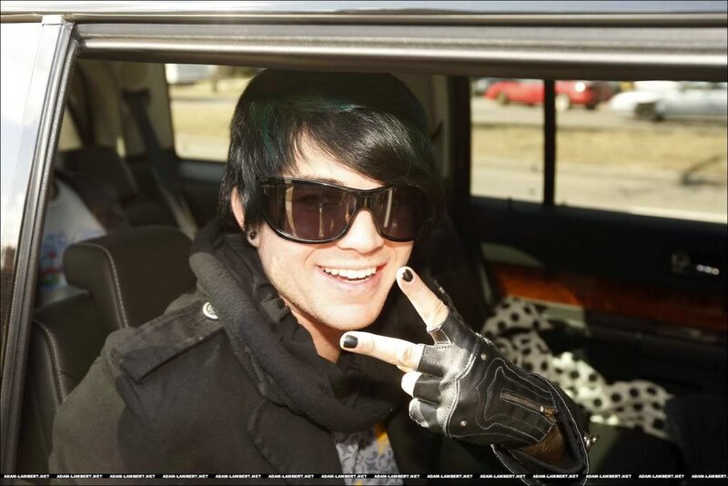 Man in Car Wearing Sunglasses — Black