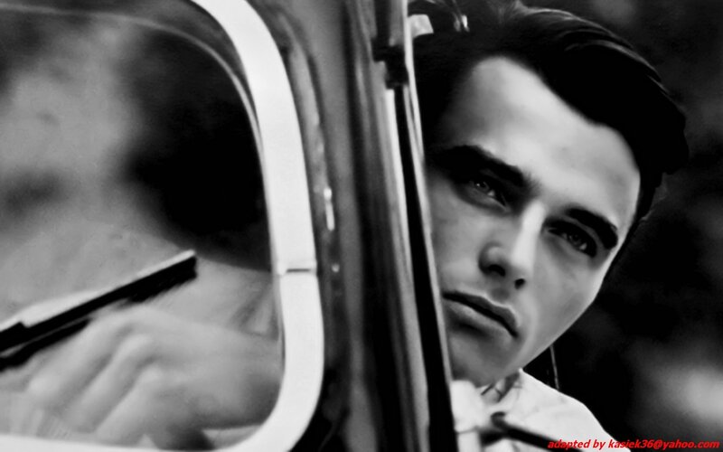 Man in Car Window — Black