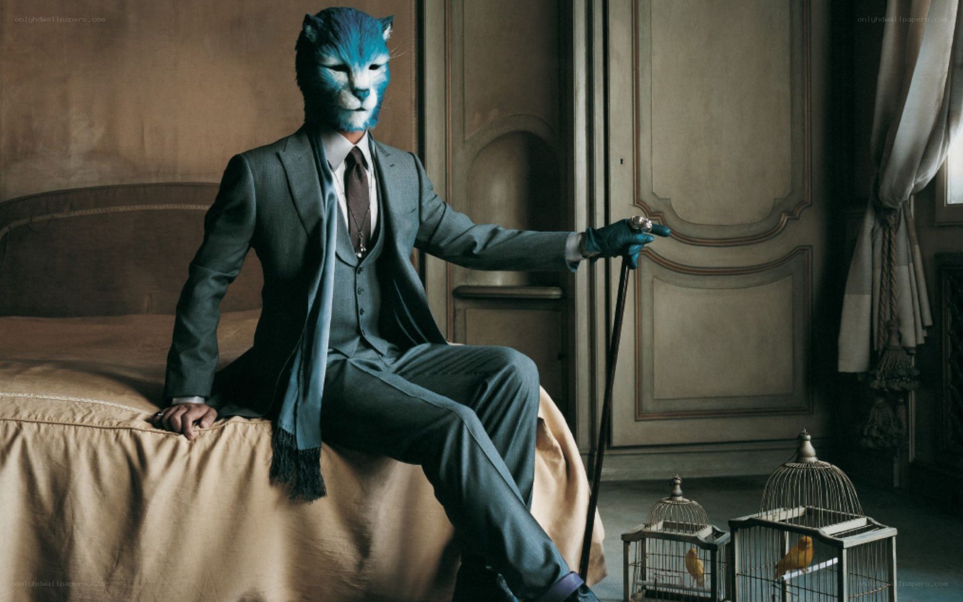 man in cat mask on bed