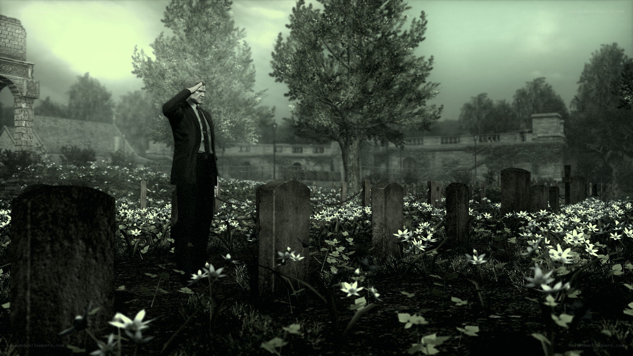 man in cemetery saluting