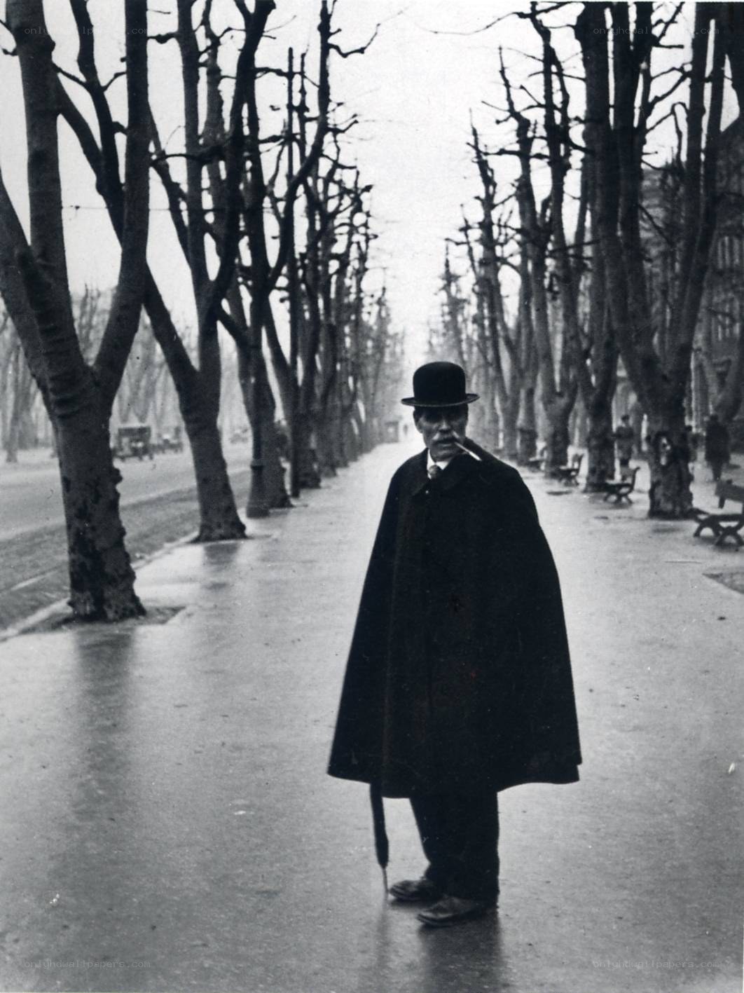 Man in coat on a tree-lined street