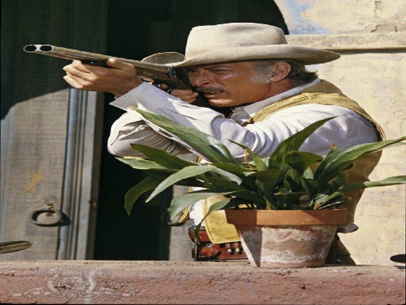 Man in Cowboy Hat Aiming Gun