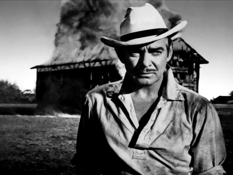 Man in Cowboy Hat — Black, Dramatic, Afternoon