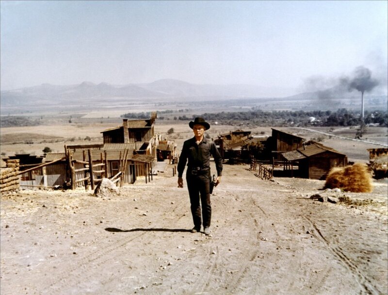 Man in Cowboy Hat — Brown, Dramatic, Afternoon