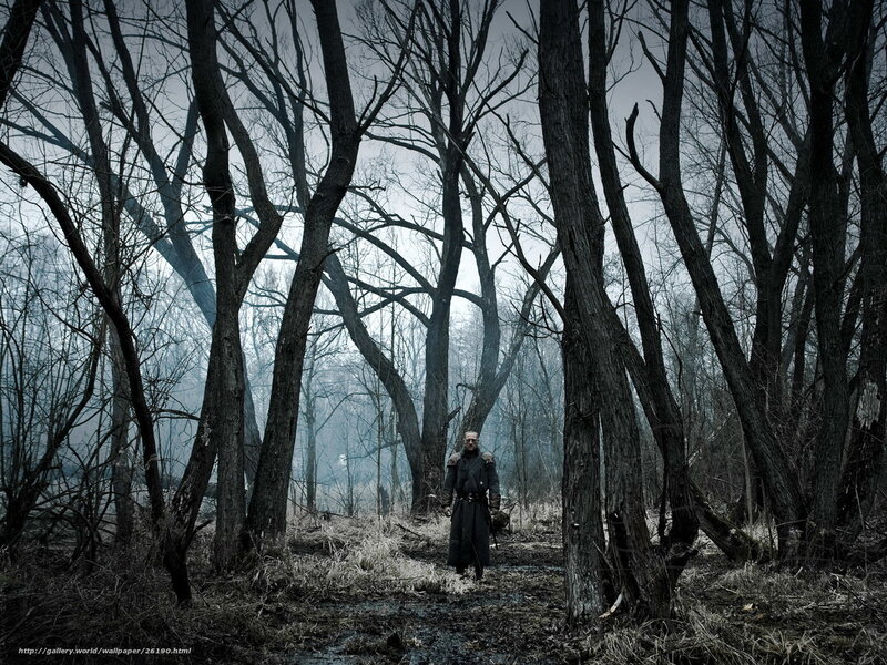 Man in dark forest