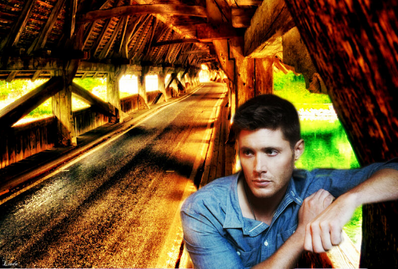Man in Denim Shirt — Brown, Contemplative