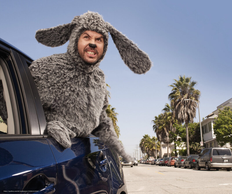 man in dog costume in car