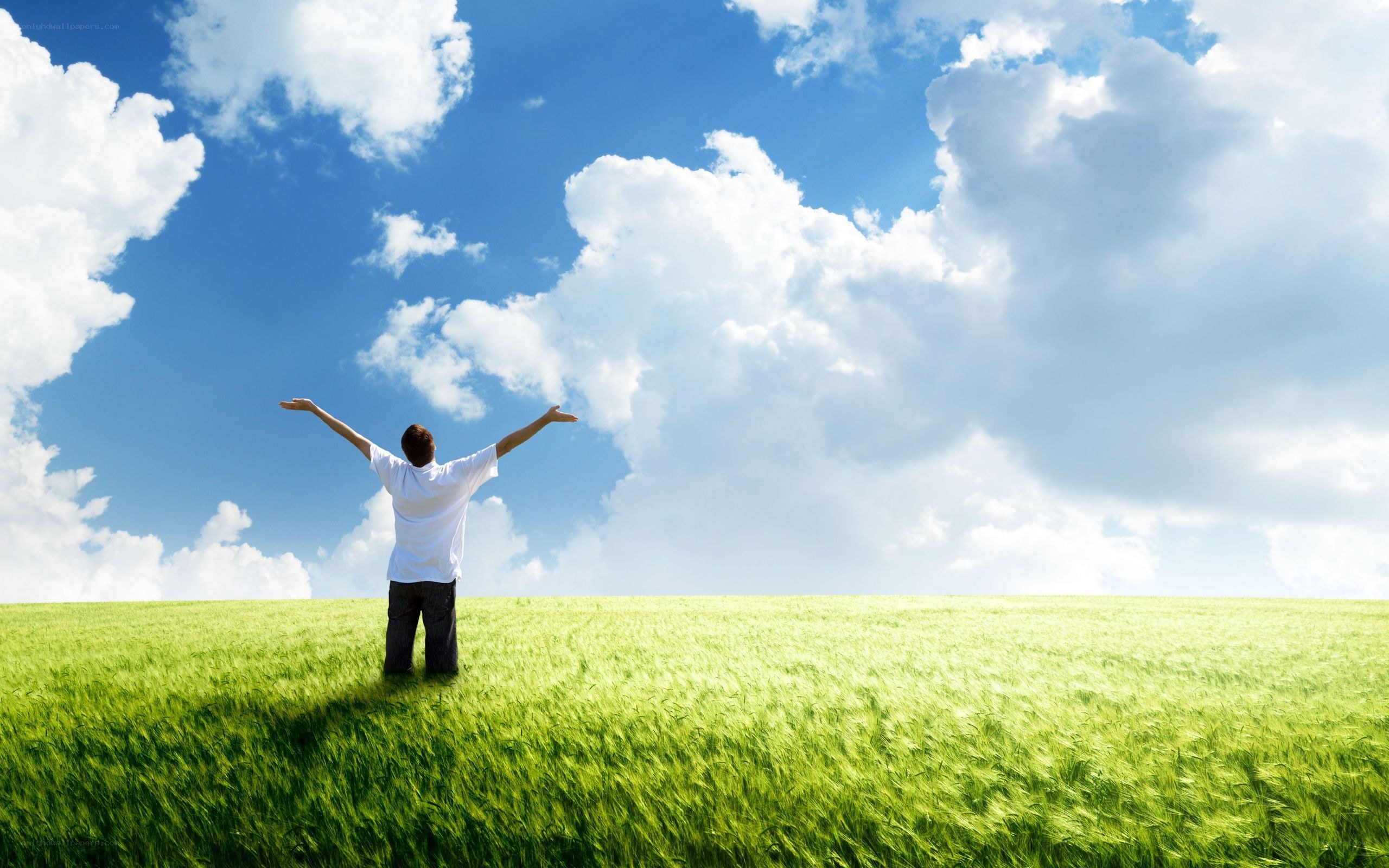 Man in field with arms raised