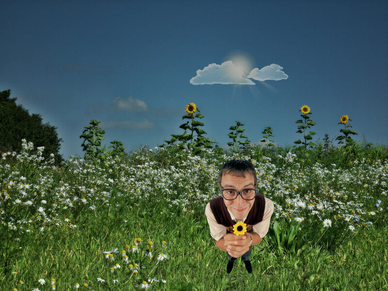 Man in Flower Field