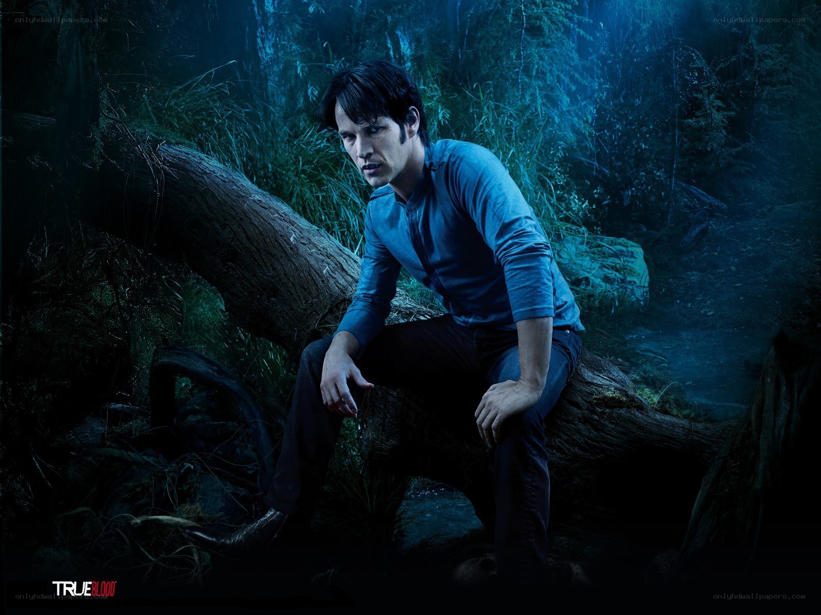 man in forest at night