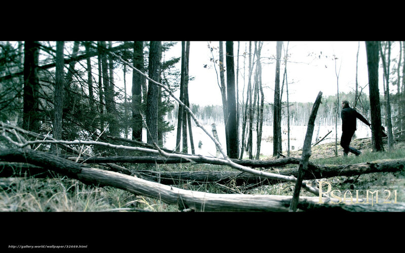man in forest near water