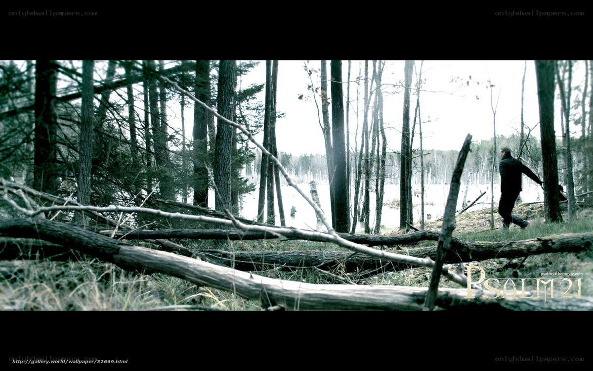 man in forest near water
