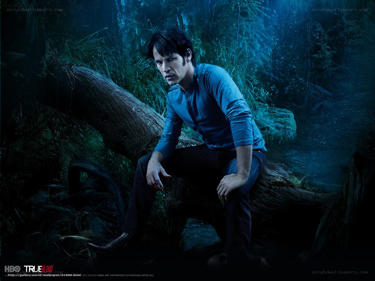 man in forest on log