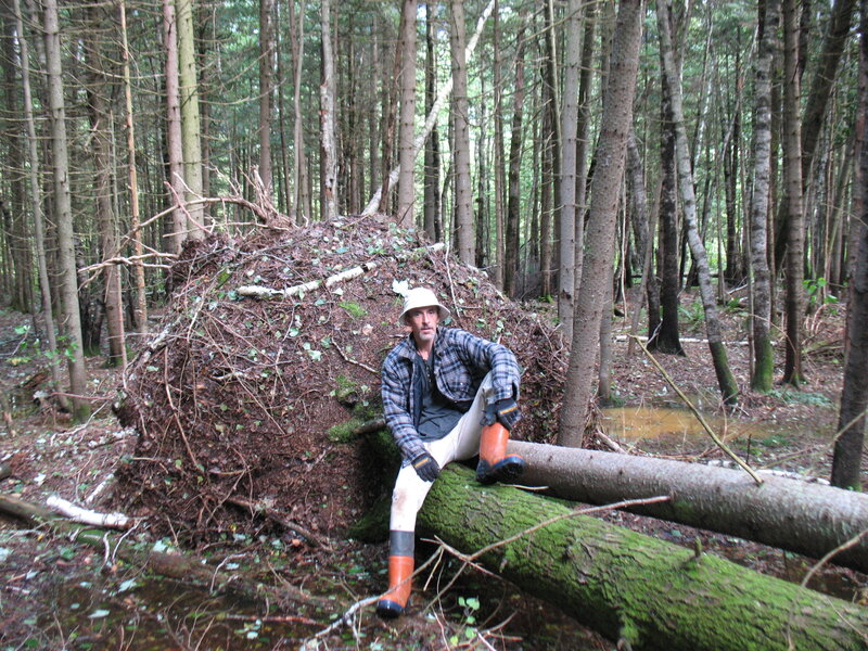 Man in Forest
