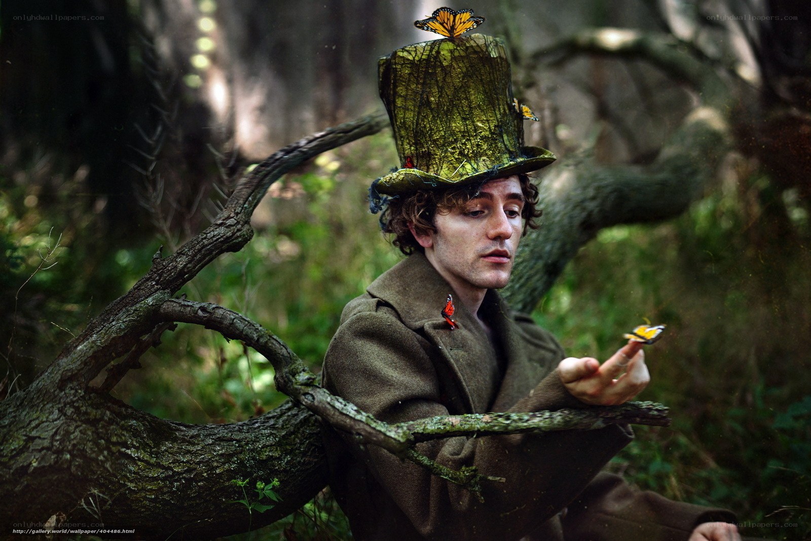 man in forest with butterflies