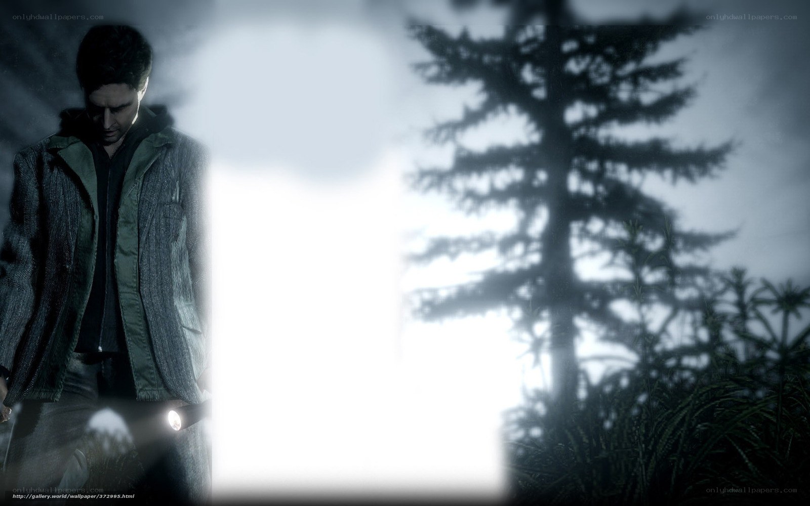 man in forest with flashlight